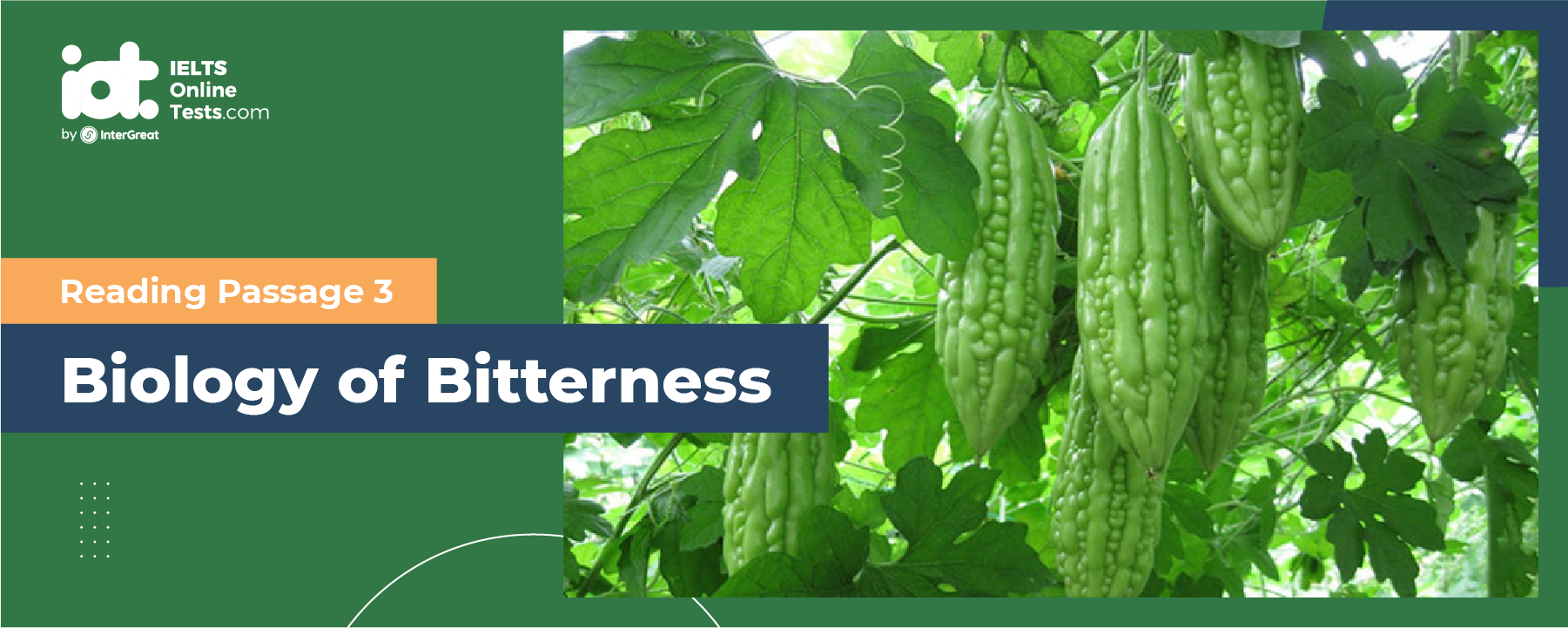 Solution for IELTS Mock Test 2023 August Reading Practice Test 1